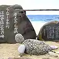 海亀･ナイトツアーガイド